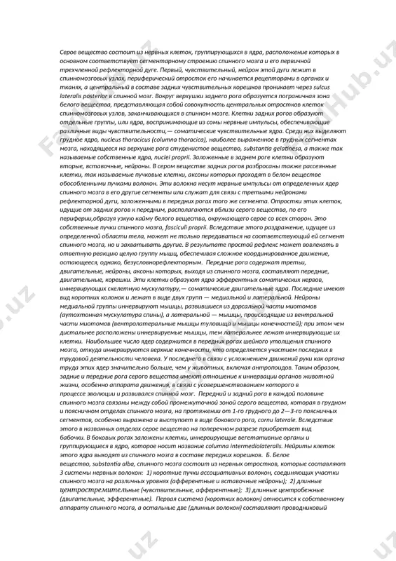 е. первый, чувствительный, нейрон этой дуги лежит в спинномозговых узлах, перифе­рический отросток его начинается рецепторами в органах и тканях, а центральный в составе задних чувствительных корешков проникает через sulcus lateralis posterior в спинной мозг. вокруг верхушки заднего рога образуется пограничная зона белого вещества, представляющая собой совокупность центральных отростков клеток спинномозговых узлов, заканчи­вающихся в спинном мозге. клетки задних рогов образуют отдельные группы, или ядра, воспринимающие из сомы нервные импульсы, обеспечивающие различные виды чувствительности,— соматические чувствительные ядра. среди них выделяют грудное ядро, nuсlеus thoracicus (columna thoracica), наиболее выраженное в грудных сегментах мозга, находящееся на верхушке рога студенистое вещество, substantia gelatinesа, а также так называемые собственные ядра, nuclei proprii. заложенные в заднем роге клетки образуют вторые, вставочные, нейроны. в сером веществе задних рогов разбросаны также рассеянные клетки, так называемые пучковые клетки, аксоны которых проходят в белом веществе обособленными пучками волокон. эти волокна несут нервные импульсы от определенных ядер спинного мозга в его другие …