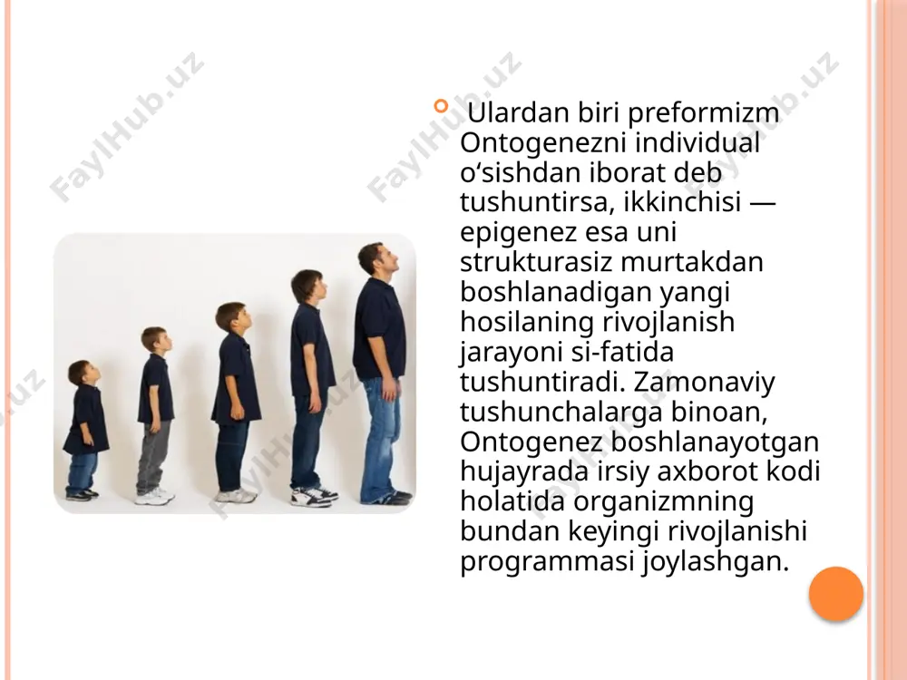 di. jinsiy bezlarning gormonal ta'siri boshlanadi. 7. o'rta maktab yosh davri. bu davr 12 yoshdan to 15 yoshgacha davom etadi. bu davr jadal o'sish va tana vaznining ortishi bilan tavsiflanadi. tana proporsiyalari sekin-asta voyaga yetgan inson ko'rsatkichlariga yaqinlashadi. jinsiy voyaga yetish (o'g'il bolada 13-14, qiz bolada 11-12 yosh) va jinsiy bezlar gormonlarining ta'sirini ortishi ostida qalqonsimon bezning funksiyalari kuchayadi, timus qayta rivojlanishga (involyutsiyaga) uchraydi. bosh miya katta yarim sharlarining qobig'i «organizmning barcha funksiyalarini bosh boshqaruvchisi va taqsimlovchisi» sifatida faoliyat ko'rsatadi. qo'zg'alish va tormozlanish jarayonlari muvozanatlasha boradi, farqlash va umumlashtirish funksiyalari, ayniqsa, ikkinchi signal tizimining rivojlanishi tufayli murakkablashadi. 8. yuqori maktab yoki o'spirinlik yosh davri. bu davr qiz bolada 13 yoshdan to 18 yoshgacha, o'g'il bolada 15-16 yoshdan to 19-20 yoshgacha davom etadi. ushbu davr jinsiy bezlar funksiyasining kuchayishi, ikkilamchi jinsiy yakunlanishi bilan tavsiflanadi. boshqa ichki sekretsiya bezlarining, ayniqsa, gipofiz va qalqonsimon bezning funksiyalari ham kuchayadi. barcha a'zolar va tizimlar funksiyasi, …