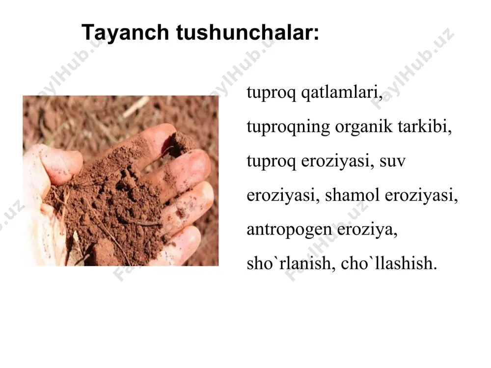 uqori qismiga ko`tarilgani qo`ymagan, yerni zaxlanishi va sho`rlanishini oldini olishga yordam bergan. turunlik yillarida xo`jaliklarning yerlari atrofidagi mevali daraxtlar qo`porib tashlanib ekinzorlar kengaytirildi.buning oqibatida atrofi ochiq (yalang) qolgan dalalarga kuchli esgan shamol tuproqning unumdor qismini o`chirib, eroziyaga uchrashini kuchaytirdi. bunday hol qashqadaryo viloyatining nishon, chiroqchi, qamashi, muborak, mirishkor kabi tumanlarida ko`plab sodir bo`ladi. keyingi yillarda kimyoviy preparatlarni dehqonchilikka qo`llash ancha tartibda olingan bo`lsa ham, 1993 yilda viloyatimizning nishon, dehqonobod, qamashi, koson rayonlarida makrokko chigirtkasiga qarshi 12 t geksoxloran, 1,5 t xlorofos, 2t bi-58 kabi juda zaxarli moddalar qo`llanildi. yerda yiilib qolgan bu zaxarli moddalar o`simlik ildizi orqali surilib, uning mevalariga yiildi, xashaklar orqali hayvonlar organizmiga o`tib, uni zaxarlaydi. kishilar tarkibida me`yoridan bir necha marta ko`p zaharli kimyoviy moddalar bo`lgan suv, oziq-ovaqatli moddalarni iste`mol qilganlari uchun oshqozon-ichak, jigar, nafas olish organlari, nerv sistemasi kasalliklari, shamollash, allergiya, ankologik kabi kasalliklarga ko`p duchor bo`lishdi. ovqat orqali tushgan kimyoviy zaharli moddalar organizmni, immunitet hosil …