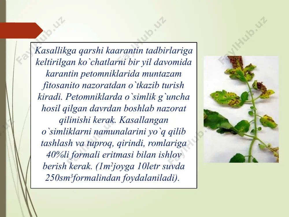 gullarning karantin kasalliklari - Page 5