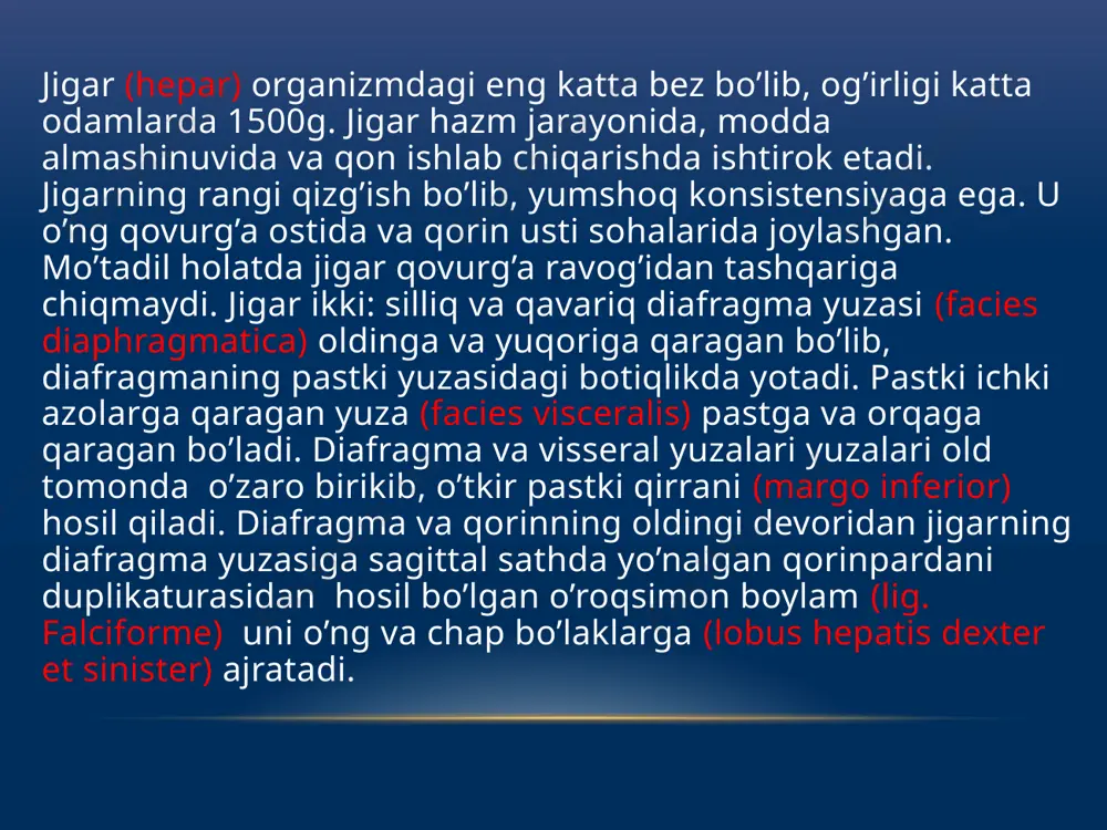 chegarasiga o’tib ketadi. jigarning pastki chegarasi o’ng x qovurg’aning oralig’idan chapga qarab o’ng qovurg’a rovog’i bo’ylab chap viii qovurg’a to’g’ayining vii qovurg’a to’g’ayiga birikkan joyigacha boradi. jigar o’rta ichak boshlang’ich entodermal epiteliyidan rivojlanadi. jigar kurtagi homila hayotining uchinchi haftasida o’rta ichak ventral devorida bo’rtma shaklida paydo bo’lib, uni jigar ko’rfozi deyiladi. bu bo’rtma dastlab umumiy bo’lib , so’ngra ikkiga: yuqori va pastki bo’rtmalarga bo’linadi. yuqori bo’rtmadan jigar nayi va jigarning bez to’qimasi rivojlansa, pastki bo’rtmadan o’t pufagi rivojlanadi. umumiy bo’rtma esa keyinchalik umumiy o’t yo’liga aylanib ketadi. yuqorigi bo’rtma juda tez o’sib, oshqozonning ventral tutqichi ichiga o’sib kiradi. va u bilan birikkan to’siqni ikkiga ajratadi. pastda oshqozon kichik egriligi bilan jigar o’rtasida o’roqsimon boylam hosil bo’ladi. jigar kurtagi shoxlanib jigarning bez to’qimasi ustunlari hosil bo’ladi. bu ustunlarni tuxum sarig’i tutqich venasi tarmoqlari o’raydi va jigar kurtagining qon bilan taminlanishi rivojlanganidan so’ng u tez o’sadi. image1.png image3.jpg image4.jpeg image5.jpg image6.jpg image7.jpg …