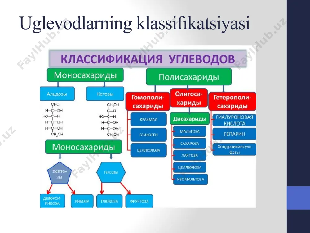 uglevodlar biokimyosi, funksiyasi va almashinuvi - Page 5