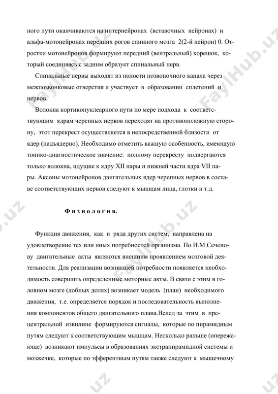 ядрам черепных нервов переходят на противоположную сторо- ну, этот перекрест осуществляется в непосредственной близости от ядер (надъядерно). необходимо отметить важную особенность, имеющую топико-диагностическое значение: полному перекресту подвергаются только волокна, идущие к ядру xii пары и нижней части ядра vii па- ры. аксоны мотонейронов двигательных ядер черепных нервов в соста- ве соответствующих нервов следуют к мышцам лица, глотки и т.д. ф и з и о л о г и я. функция движения, как и ряда других систем, направлена на удовлетворение тех или иных потребностей организма. по и.м.сечено- ву двигательные акты являются внешним проявлением мозговой дея- тельности. для реализации возникшей потребности появляется необхо- димость совершить определенные моторные акты. в связи с этим в го- ловном мозге (лобных долях) возникает модель (план) необходимого движения, т.е. определяется порядок и последовательность выполне- ния компонентов общего двигательного плана.вслед за этим в пре- центральной извилине формируются сигналы, которые по пирамидным путям следуют к соответствующим мышцам. несколько раньше …