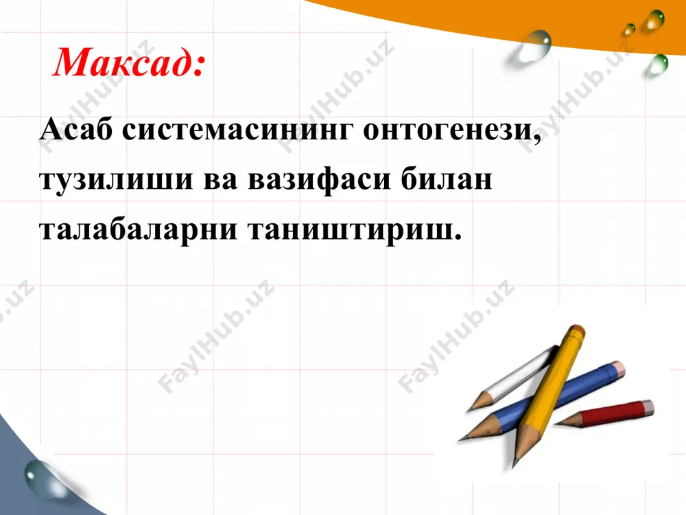 ri va boshkalar mavjud. bulardan tashqari neyron tarkibida somatik xujayralarda uchramaydigan ayrim o'ziga xos kiritmalar xam bor. ularga tigroid modda (nissel substantsiyasi) va neyrofibrill tolalari kiradi. neyronning gistologik ko'rinishi neyron o'simtalari nepv tolalarini hosil qilib, ular pardalar bilan o'raladilar. nerv tolalari, yani o'q tsilindri ikkita parda bilan o'ralgan. uq tsilindrini bevosita o'rab turuvchi pardani mielin parda deyiladi. ba'zi bir joylarda u ingichkalashib kesishmalar hosil kiladi, buni ranve kesishmalari deyiladi. mielin parda o'k tsilindridan utayotgan nerv impulslarini izolyatsiya qilish vazifasini bajaradi. mielin pardasining ustidan o'rab turuvchi pardani shvann pardasi deyiladi. shvann pardasining mielin pardasidan farki shundaki, u kesmalar hosil kilmaydi va uning o'z xujayralari bo'ladi. nerv tolasining tuzilishi nerv tolasining tuzilishi periferik nerv tizimida kuyidagi 2 xil nerv tolalari uchraydi. mielinli nerv tolalari. mielinsiz nerv tolalari. mielinli nerv tolalari deb, mielin va shvann pardalari bilan uralgan nerv tolalari aytiladi. mielinsiz nerv tolalari deb, fakatgina shvann pardasi bilan uralgan nerv tolalari aytiladi …