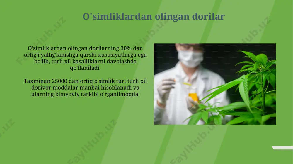 dorivor o'simliklar - Page 5