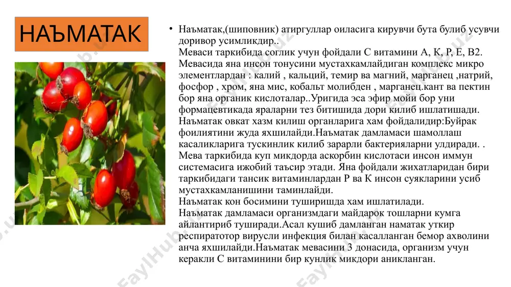 . толасидан кийимлик газламалар (батист), брезент, пахта ва кимёвий толага қўшиб декоратив газламалар, арқонлар ишлаб чиқарилади. озиқовқатда, локбўёқ саноатида, табобатда қўлланади. кунжараси чорвачиликда сифатли озуқа ҳисобланади.зиғир ёғини оч қоринда ичганда фойдаси;ошқозон иччак ишини яхшилайди, ич қотишин яхшилайди; тери, соч, тирноқларни ҳолатини яхшилайди; гармонал фонни барқарорлаштиради; холестиринни пасайтиради; шишларни йӯқотади. писта писта антиоксидантлар, фойдали ёғлар манбаидир. шунингдек, унинг таркибида инсон организми учун фойдали озуқалар, оқсил, калций ва фосфор, асабларни тинчлантирувчи в ҳамда е витаминлари мавжуддир. айниқса, пистанинг қуйидаги фойдали хусусиятларини алоҳида эътироф этиш лозим. юрак соғломлигини таъминлайди. писта зарарли холестерин миқдорини камайтиради. шунингдек, унинг антиоксидантларга бойлиги, таркибида а ва е витаминларга эга эканлиги яллиғланишнинг олдини олиб, қон томирларини ҳимоя қилади, шу тариқа юрак-қон томирлари хасталикларига чалиниш хавфини камайтиради. асабларни тинчлантиради. писта таркибидаги в 6 витамини асаб тизимининг тўғри ишлашида муҳим роль ўйнайди. ушбу витамини асаб толалари ўртасидаги импульсларнинг тўғри етказилишини таъминлайди, турли асаб бузилишлари, уйқусизлик, хотира билан боғлиқ муаммолар, ҳаттоки, руҳий …
