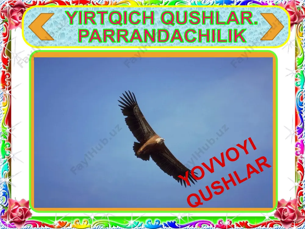 rgi tovuqlar go'sht, go‘sht-tuxum va tuxum yo‘nalishidagi zotlarga ajratiladi zotlar tashqi ko'rinishi bilan bir-biridan farq qiladi. tuxum yo‘nalishidagi zotlardan rus oq tovug‘i va lekgorn zot tovuq boqiladi. ular nisbatan kichik bo‘lib, og'irligi 1,6 - 2,4 kg keladi, lekin tez voyaga yetadi va har qaysisi yiliga 200 - 300 tadan yoki undan ham ko'proq tuxum qiladi. 3. yangi mavzu bayoni o`qituvchi ma`ruzasi (davomi) bunday tovuqlar 5-6 oyda tuxumga kiradi, tuxumlari 50 - 65 g keladi. tuxum-go‘sht yo'nalishidagi tovuq zotlari (zagorsk, nyugempshir, pervomaysk) birmuncha yirikroq bo'lib, og'irligi 2,5 - 4,0 kg keladi. tuxumlari mayda, tullash davrida (15 - 20 kun) tuxum qilmaydi. o‘rdaklar. yovvoyi o'rdak bundan 3000 yil oldin xonakilashtirilgan. xonaki o'rdak tuxumining ta’mi uncha yaxshi bo'lmaganligi tufayli, odatda, go'sht olish maqsadida boqiladi. ularning moskva, pekin, ukraina zotlari ko‘paytiriladi. o'rdaklarning ikki oylik jo'jalari og'irligi 2,6 kg va undan ham ko'proq keladi yirtqich qushlar. parrandachilik baxor darakchisi: uya qurmaydigan yirik qush: loydan uya …