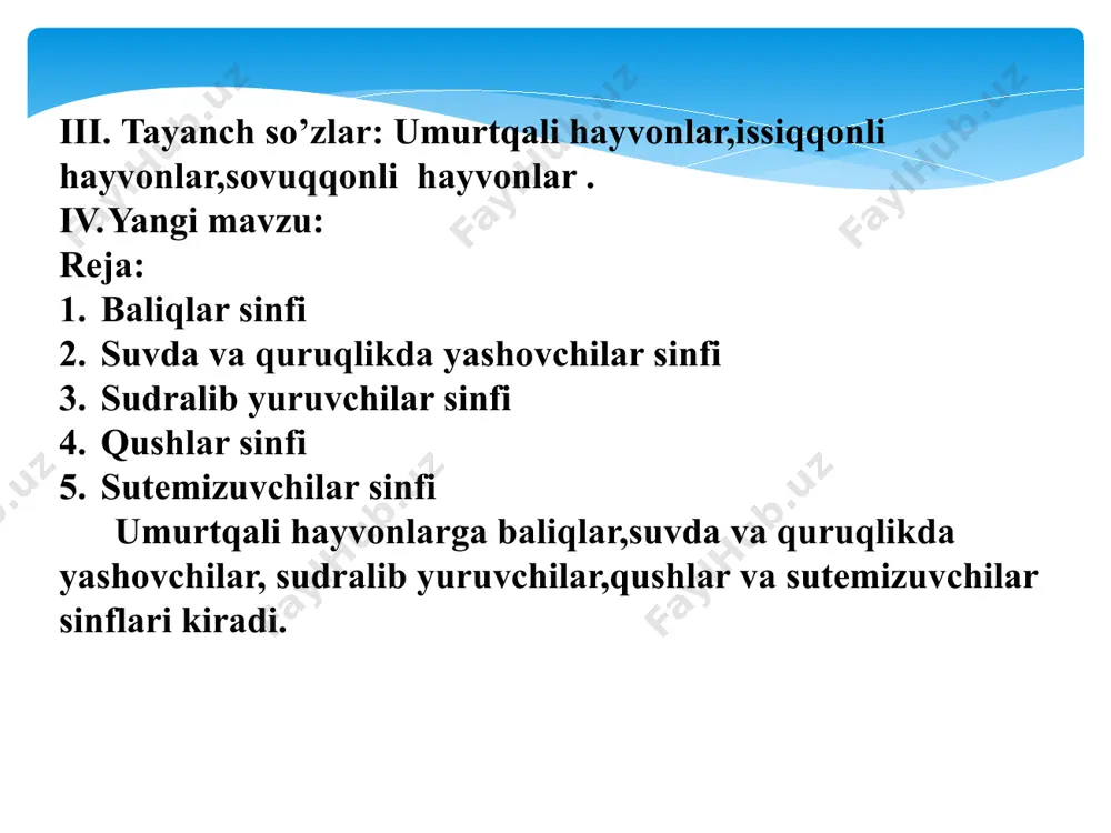 umurtqali hayvonlar - Page 4