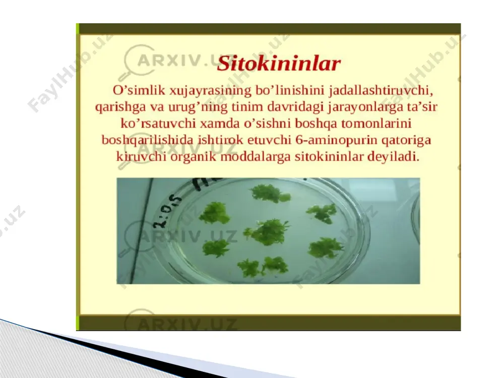 o'simliklar gormonlari va ularning xususiyatlari - Page 3