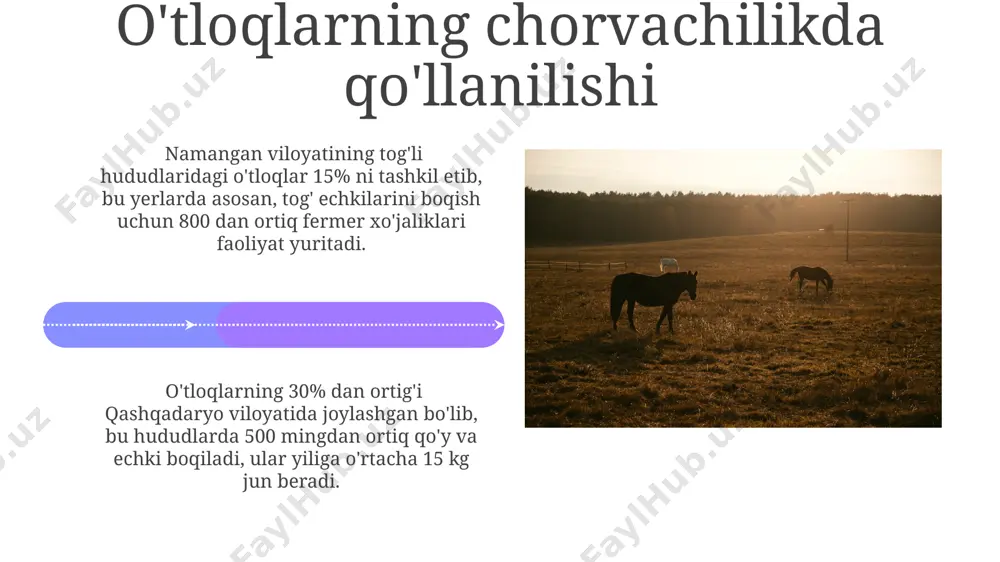 yaylovlarning mahsuldorlik xususiyati - Page 4