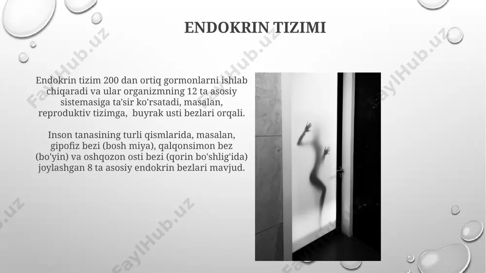 odam tanasining anatomik tuzilishi haqida maʼlumot berish - Page 4