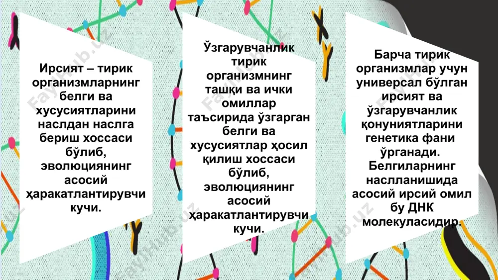 ол, эгизакларнинг икки тури борлигини билмас эди (гарчи унинг даврида шунга ўхшаш фаразлар аллақачон ифодаланган бўлса ҳам): монозиготик (бир хил) эгизаклар бир хил генотипга эга ва гетерозиготали эгизаклар бир хил эмас… соматик ҳужайралар генетик усули. одам ва сичкон соматик хужайраларини бирга ўстирилиб, уларнинг бир-бирига кўшилишидан дурагай хужайралар олинган. шу дурагай хужайраларни ўстиришни давом эттирилганда, улардаги одам хромосомалари секин аста йўк бўла бориб, факат тўккизинчи хромосомагина қолган. шундай хужайрага вирус туширилганда хужайрада вирусга қарши одам интерферони хосил бўлган. бу билан одамнинг тўққизинчи хромосомасида интерферон синтезини бошқарувчи ген жойлашганлиги аниқланган. генетика фанининг вазифалари ирсиятнинг моддий асослари – хромосомалар, генлар, днк ва рнк нинг тузилиши ва функциясини текшириш; одамларда турли ирсий касалликларнинг пайдо бўлишини ўрганиш, уларнинг олдини олиш ва даволашнинг самарали методларини яратиш; экологик муҳит шароитини соғломлаштириш, унинг ирсиятга салбий таъсир этувчи омилларидан организмлар генофондини асраб қолишнинг генетик методларини яратиш; организмлар белги ва хусусиятларининг келгуси авлодларга берилиши ва ривожланиш қонуниятларини аниқлаш; турли физик …