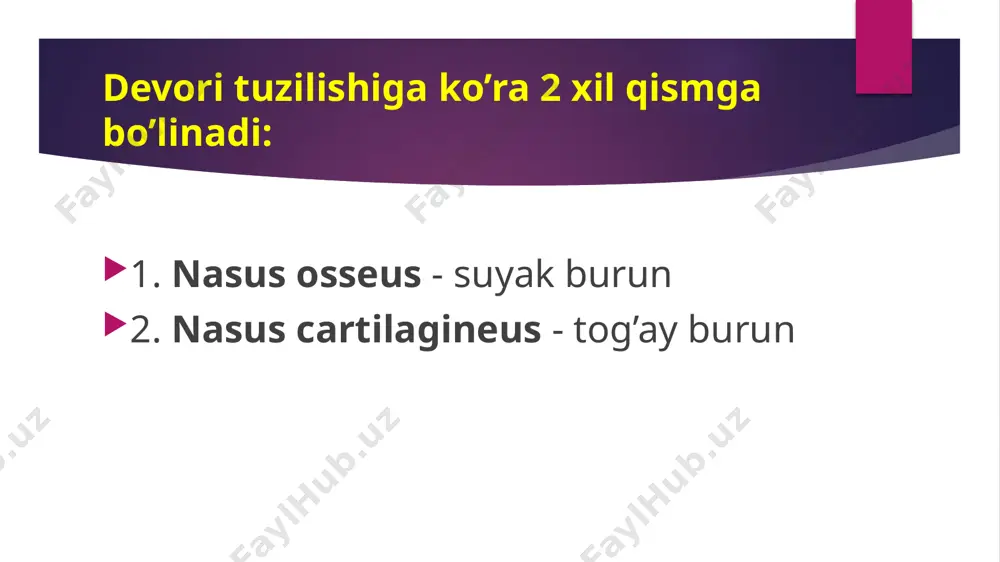 nafas olish sistemasi tuzulishi - Page 5