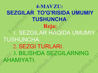 sezgilar to'g'risida umumiy tushuncha — PPT