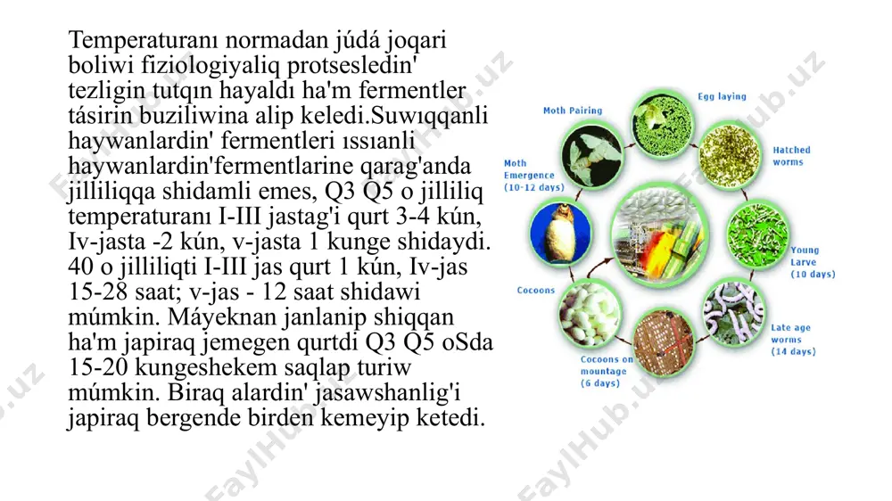 xsi tásir ko'rsetedi.qurtxanadag'i samal tezligi ha'm jonelisin anıqlaw ushin qol anemometri, katatermometr ha'm avtorlar ta'repinnen usinis etilgen a'piwayi flyugerden paydalaniw múmkin. qol anemometri samal tezligin qısqa waqit aralig'inda /adette 10 minutqa jaqin waqit ishinde/ o'lshew ushin mo'lsherlengen bolip, al m/sek tán 20 m/sek. qa. shekem shókkishn samaldin' tezligin o'lshew ushin isletiledi. qol anemometrin qabil etiwshi bo'legi song'i uslarina qabariq ta'repleri bir ta'repke qaratilg'an tórt dana bir túrli jarti gewik sha'rlar-keseshalar-pirpiroq ornatilg'an metall /bir-birewine qiysiq' etip jaylastirilg'an/ krestovinadan ibarat. jarti sha'rlar oqqa bekkemlengen bolip, oqtin' tóbeengi bo'legi «sheklenbegen» vint penen tamamlanadi ha'm al aylanislar bolsaplag'ishdin' tisli dongelegine tiyip turadı. katatermometr - kushsiz hawa ha'reket tezligin o'lshiydi.spirtli termometr 35-380 shekem bolingen shkalası bolip, xavani suwıwi tezligin o'lshiydi.termometdin' tsilindrik rezervuarı joqari ta'repi ken'eygen bolip, termometrdi qızdırg'anda artiqsha spirt usi jerg'e taplanadı. hawa ha'reketi tezligin anıqlaw ushin katatermometrdi rezervuarı 40 o den 80 o gradusqa shekem isitilg'an suwli idisg'a tusiriledi. a'piwayi flyuger. avtorlar /s. …