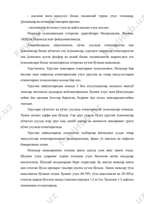 ари. итузумдошлар (solaraceae) га мансуб экинлар уруғларининг сифатларини сақлаб қолиш учун уруғларнинг механик ва биологик ифлосланишини олдини олиш керак. бунинг учун аввало ҳар бир уруғчилик хўжалигида ҳар бир экиннинг битта навининг уруғчилиги билан шуғулланиши керак. агар бир неча на​в-ларни етиштириш лозим бўлса, уларнинг орасида фазовий изоля​цияга риоя қилиш керак. помидор учун бу масофа очиқ майдонларда камида 100м, ёпиқ майдонларда эса камида 50 м бўлиши керак. уруғларнинг нав сифатларини сақлаш учун 3 марта нав тозалаш ишлари олиб борилади: 1. кўчатни саралаш даврида; 2. мева тугишга кирган пайтда; 3. мевлари ёппасига етилган даврда; дала апробацияси меваларнинг 50% етилган даврда ўтказилади. охирги нав тозалашда энг яхши ўсимликлар белгилаб қўйилади. помидорнинг индетерминант навларида иккинчи терим ҳосили уруғликка олиниши яхши натижа беради. чунки бундай навларда матрикал ҳар хиллик кучли намоён бўлиб, пастки шингилдаги мева​ларнинг уруғлари сифатли ва яшовчан бўлади. бундан ташқари бу ме​валарнинг уруғлари тезпишарлик хусусиятини кўпроқ сақлаб қолади. детерминант типидаги навларда эса уруғлик учун …