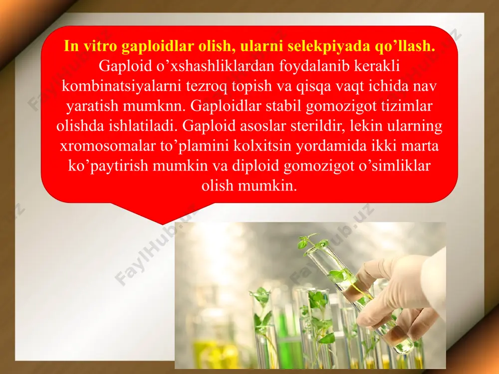 o’simliklar selektsiyasida in vitro usulini qo’llash - Page 4