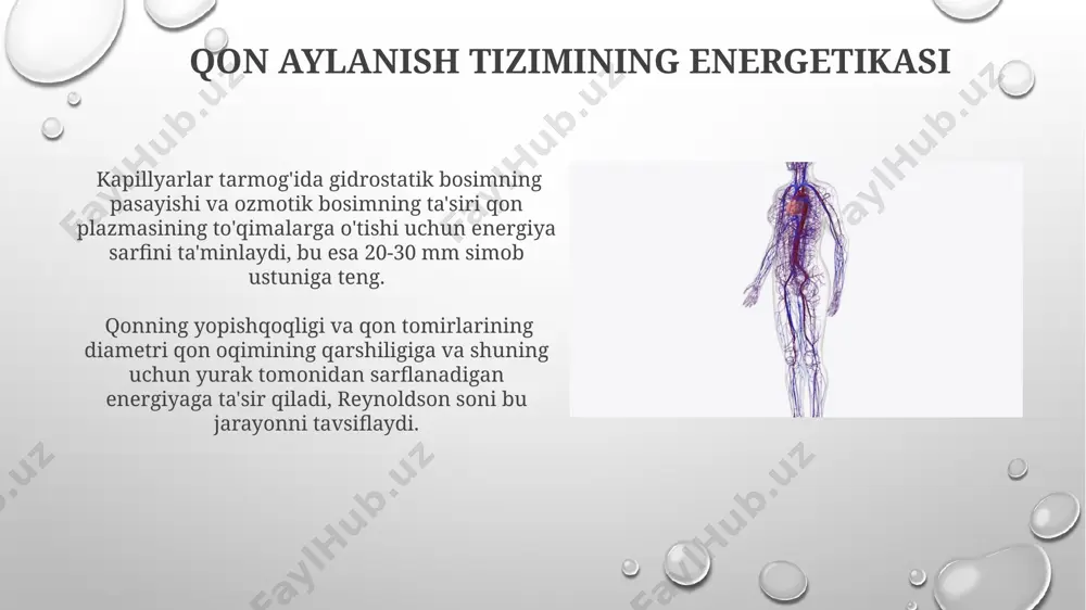 , taxminan 600 ga yaqin, limfotsitlar ishlab chiqarish va immunitet javobini shakllantirishda muhim ahamiyatga ega bo'lib, infektsiyaga qarshi himoya mexanizmlarida ishtirok etadi. qon aylanish tizimining asosiy funksiyalari qon aylanish tizimi tananing barcha hujayralariga taxminan 5 litr qonni daqiqada 5-6 marta aylantirib, kislorod va ozuqa moddalarini yetkazib beradi va karbonat angidrid va metabolik chiqindilarni olib tashlaydi. kapillyarlar, diametri 8-10 mikrometr bo'lgan mayda qon tomirlari, qon va hujayralararo suyuqlik o'rtasida moddalar almashinuvini ta'minlaydi, bu jarayon diffuziya orqali sodir bo'ladi va gazlar, ozuqa moddalari va chiqindilar almashinuvi uchun muhimdir. e'tiboringiz uchun rahmat @taqdimot_robot image3.png image4.jpg image5.jpg image6.jpg image7.jpg image8.jpg image9.jpg image10.jpg image11.jpg image12.jpg image13.jpg image14.jpg image15.jpg image1.png