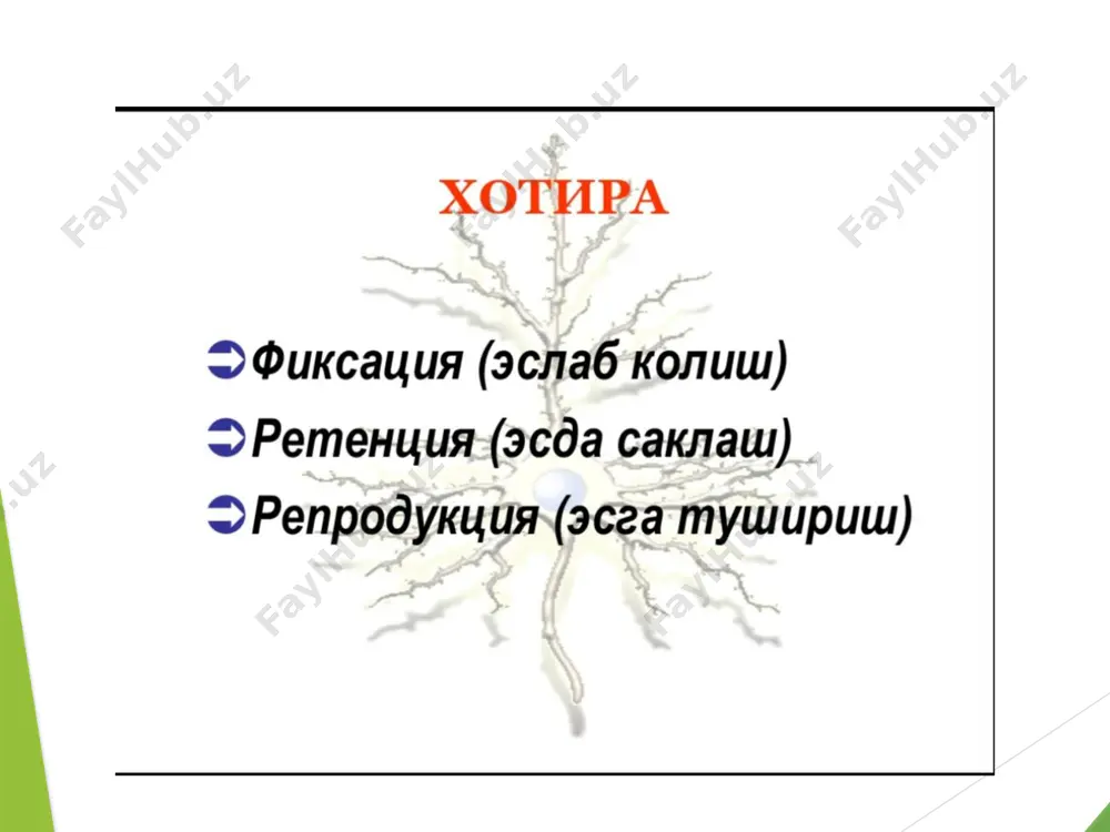 xotira - Page 4