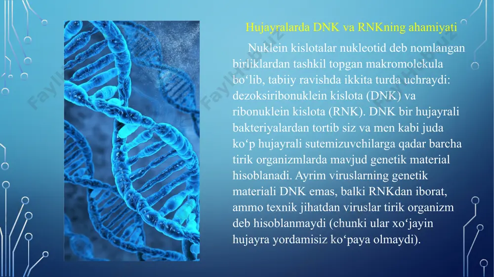 oʻz navbatida nukleotidning har bir qismini koʻrib chiqamiz. uglevod (dezoksiriboza yoki riboza), fosfat guruhi va azot asosi tutgan dnk va rnk zanjiri tarkibiy qismlari keltirilgan rasm. azot asoslaridan pirimidin asoslari (bitta halqali sitozin, dnkda timin va rnkda uratsil) va purin asoslari (ikkita halqali adenin va guanin) mavjud. fosfat guruhi 5ʼ uglerodiga birikkan. riboza molekulasidagi 2ʼ uglerodi gidroksil guruhi tutadi, ammo dezoksiriboza molekulasida 2ʼ uglerodda gikroksil guruhi mavjud emas (vodorod tutadi). azot asoslari nukleotidlarning azot asoslari azot saqlovchi halqadan (uglerod-asosli) iborat molekulalardir. nima uchun u asos deb ataladi? dnkdagi har bir nukleotid toʻrtta azot asosdan bittasiga ega: adenin (a), guanin (g), sitozin (s) va timin (t). adenin va guanin purinlar boʻlib, ularning tarkibida ikkita uglerod-azot saqlovchi halqa mavjud. sitozin va timin esa pirimidinlar hisoblanib, bitta uglerod-azot halqasiga ega. rnk nukleotidlari ham adenin, guanin va sitozin asoslariga ega, ammo timin oʻrniga ularda uratsil (u) deb ataladigan boshqa pirimidin asosi mavjud. yuqoridagi rasmda …