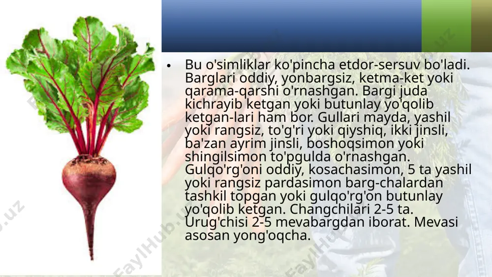 sho'radoshlar oilasi. 6 - sinf - Page 4