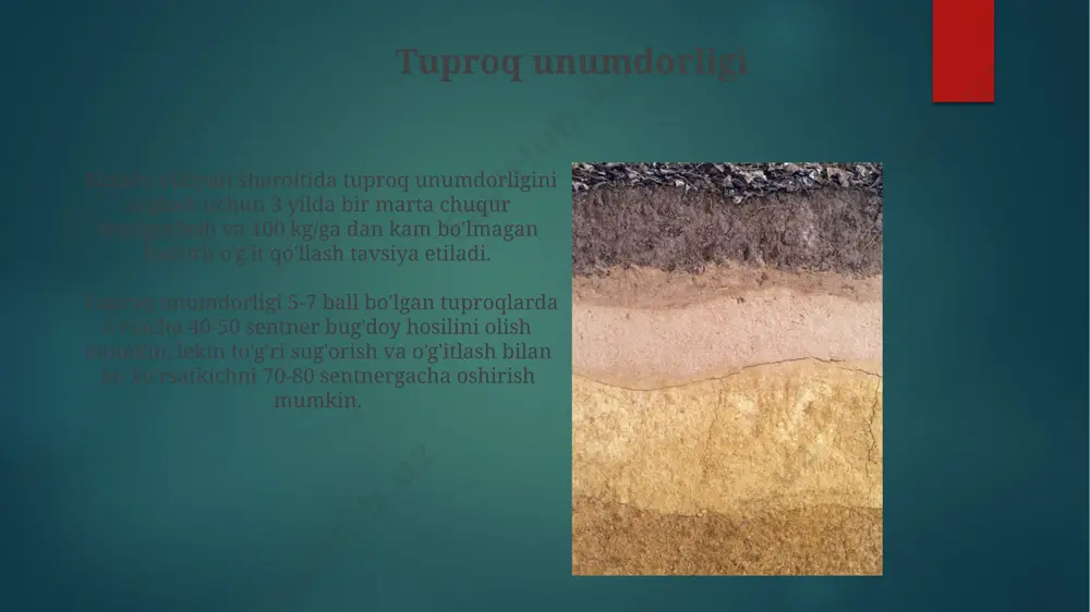 tuproq va uning strukturasi - Page 4