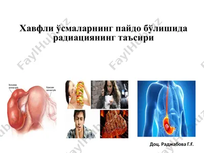 hаvflі ўsmаlаrnіng pаіdо bўlіshіdа rаdіаtsіуаnnіng tаъsіrі — PPTX