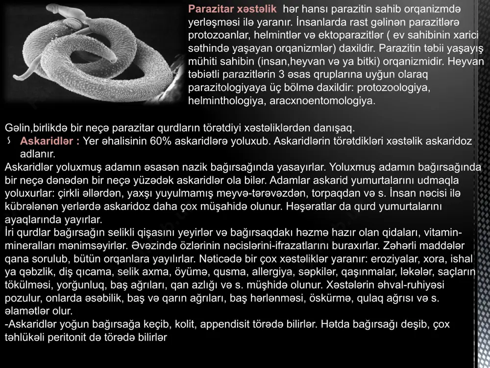 ər -öd yollarına , öd kisəsinə , mədəaltı vəzin axarına keçəndə sarılıq və bu orqanlarda irinli iltihablaşmalar yaradırlar. -bəzən askaridlər qusuntu ilə ağızdan, burundan çıxırlar. belə hallar xəstəni və yanındakıları çox qorxudur. hərdən askaridlər nəcislə çıxırlar. -askaridlər tənəffüs yollarına keçib xəstənin ölməsinə səbəb olduğu hallar da həkimlərə məlum- dur. -qurdlar bir-birinə dolaşıb bağırsaq keçməməzliyi də yaradırlar. askaridləri əsasən nəcis analizində yumurtalarını aşkar etməklə diaqnoz edirlər. son illərdə askaridin yeni növü – beyin askaridi-askaris megasephalon aşkar edilib. bu qurdlar yoluxmuş adamların beyin nahiyəsində, burun ətrafındakı boşluqlarda məskunlaşırlar. beyin askaridi ilə əlaqədar xəstələr şiddətli baş ağrılarından, səbəbi məlum olmayan depressiyadan, epilepsiyadan, yuxusuzluqdan, başda səsdən, gecələr yuxulu vəziyyətdə gəzməkdən, bir neçə ay görmə qabiliyyətini itirmə hallarından əziyyət çəkirlər. tükbaş qurd (trihocechalus trichiurus) bu qurdlara yoluxanlar askaridlərdən də çoxdur. tükbaş qurdlarının törətdiyi xəstəlik trixosefalyöz adlanır. tükbaş qurdları yoluxmuş adamların yoğun bağırsağında yaşayırlar. qurdlar tük kimi nazik başları ilə bağırsağın divarını və oradakı qan damarlarını …
