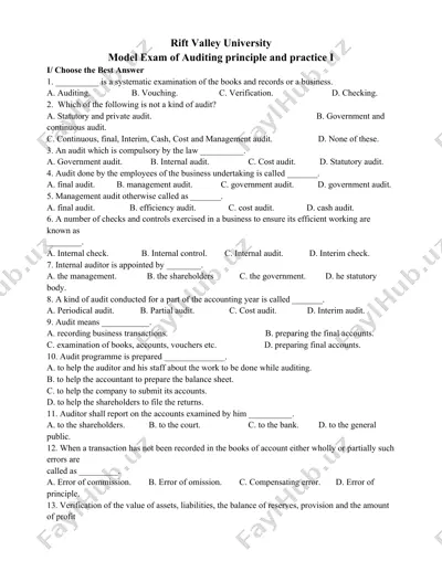 model exam of auditing principle and practice i — DOCX