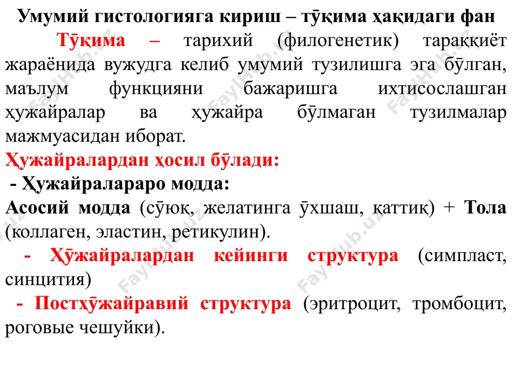 нерация – тӯқималарнинг шикастланган сӯнг қайтадан тикланиши (физиологик ва репаратив; ҳужайра ичи, ҳужайра пролиферацияси, тӯқима ва орган). қопловчи эпителийнинг умумий характеристикаси 1. организмнинг ички муҳитини ташқи муҳитдан ажратиб туради 2. ҳужайралар қават қават жойлашган 3. ҳужайралараро модда йӯқ 4. базал мембранаси бор 5. ҳужайраларнинг поляр тарафлари (апикал ва базал қисми). 6. қон томирлари йуқ –диффуз йули билан озиқланади 7. нерв учлари келиб жойлашган 8. ҳужайралараро бирикиш 9. регенерация жараёни яхши ривожланган (ҳужайравий ва ҳужайралар ичида) 10. анизоморфност: горизонтал ва вертикал 11. цитокератин – маркёр эпителиоцитлар учун 12. ривожланиши – уч эмбрион варақларидан: экто-, эндо- ва мезодерма эпителиаль тӯқимаси – чегараловчи тӯқима бӯлиб, тана юзасини, ҳази қилиш найининг, нафас ва сийдик чиқариш йӯлларининг ички юзасини қоплаб тӯради. эпителий тӯқимаси икки асосий гуруҳга бӯлинади: қопловчи ва безли. қопловчи эпителий. вазифаси: 1. қопловчи – организмнинг ички муҳитини ташқи муҳитдан ажратиб туради (эпидермис, ичак эпителийси ва бошқалар). 2. ҳимоя – ичкарида ётган аъзоларни ҳимоя …