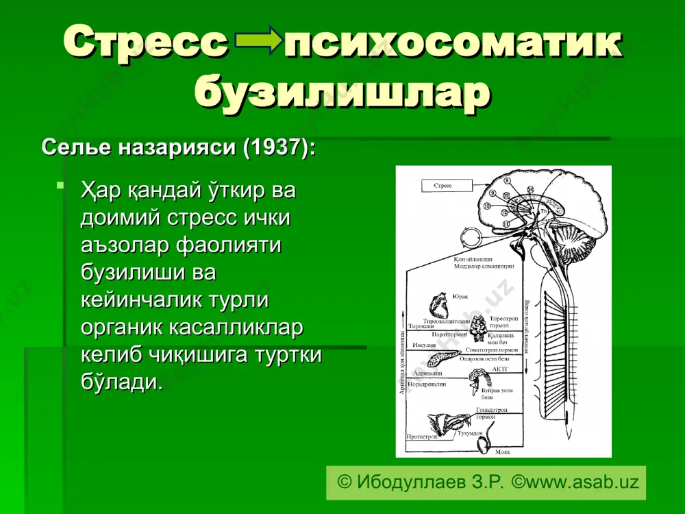 psixosomatik sindromlar - Page 4