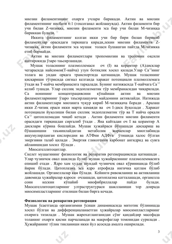 илан бирикиб филаментлар орасидаги тиркишга киради,лекин миозин филаменти z-чизикка, актин филаменти эса мушак толаси бушашган пайтда м-чизикка етиб бормайди. актин ва миозин филаментлари тропомиозин ва тропонин оқсили иштирокида ўзаро таьсирлашади. мушак толасининг плазмоллемаси оч (і) ва қорамтир (а)дисклар чегарасида найсимон(т-найча) узун ботиқлик хосил қилади.улар ca+2нинг толага ва ундан орқага транспортида қатнашади. мушак толасининг қисқариши тўгрисида сигнал келганда харакат потенциали плазмоллемага ўтади ва т-найча мембранасига тарқалади. бунинг натижасида т-найчага са+2 келиб тушади. улар силлиқ эндоплазматик тўр мембранасидан чиқарилади. са ионининг концентрациясини кўпайиши актин ва миозин филаментларининг ўзаро таъсирлашувчи майдонини активлайди. натижада актин филаментлари миозинга чуқур кириб м-чизиққача боради . аралаш икки z-чизиқ ораси икки марта камаяди ва оч i-диск йуқолади . харакат потенциали йуқолиши билан силлиқ эндоплазматик тўр ва т найча орқали са+2 цитоплазмадан чиқиб кетади . актин филаменти миозин филаменти орасидаги тирқишдан сиргалиб ўтади . яна кайтадан оч i ва қорамтир а дисклари кўрина бошлайди. мушак ҳужайраси бўшашади .қисқариш ва …