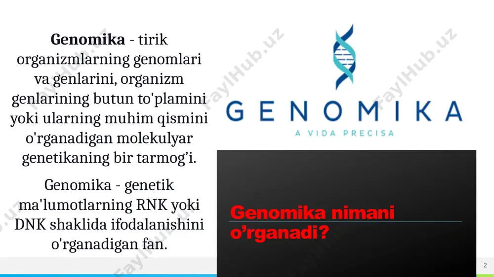di, jumladan, inson genomi ham. birinchi inson genomining ketma-ketligini aniqlash 10 yildan ko'proq vaqtni va millionlab funtni talab qildi. bugungi kunda uni 24 soat ichida 1000 funt sterlingdan kamroq narxda bajarish mumkin. bir necha ming olimlar ishtirok etgan “inson genomi” xalqaro loyihasi 2000 yilda yakuniga yetdi. biroq bu yo‘nalishdagi tadqiqotlar to‘xtamayapti. bu tsivilizatsiya tarixidagi eng qimmat loyihalardan biri bo'lib, yiliga 500 million dollardan ortiq mablag' sarflagan. имя или логотип 4 5 aksolotl (ambystoma mexicanum) – genomi 32 mlrd. juft asos имя или логотип genom – termini fanga 1920-yilda nemis botanigi gans vinkler tomonidan xromosomaning toʻliq (gaploid) toʻplamini tashkil etuvchi genlar kolleksiyasini tavsiflash maqsadida kiritildi genomika – termini fanga 1986-yilda genetik tomas roderik tomonidan genomlarni kartalashtirish, sekvenirlash va tavsiflash masadida kiritildi. имя или логотип genomika fan sifatida nisbatan yaqinda paydo bo'lgan bo'lsa-da, uning rivojlanishida allaqachon bir necha bosqichlarni ajratish mumkin. 1-bosqich. 1900 - 1940 yillar ushbu bosqichda odamning mendel belgilari o'rganildi. …