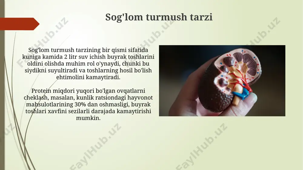 buyrak toshlarini hosil bo‘lishi va davolash yo‘llari - Page 5