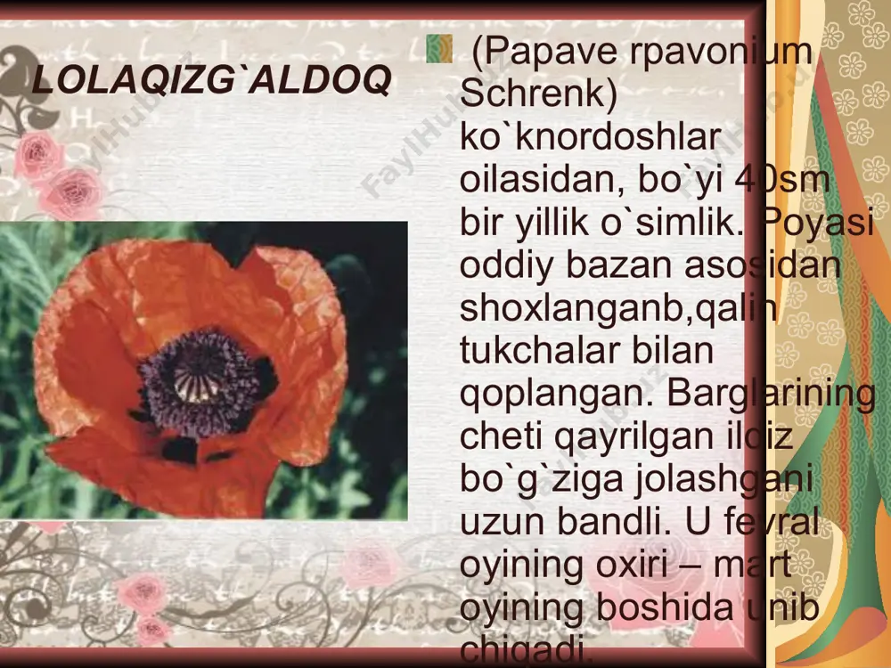 bahoriy gullar - Page 3