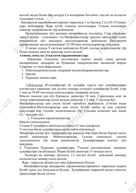 есмосомалар ва fascia adhaerentes хамма тип кардиомиоцитларни ягона тўқима тизимига бирлаштиради ва юракнинг қоринча ва бўлмачасини синхрон қисқариши ва бўшашишини таьминлаб беради. қисқарувчи кардиомиоцитлар: юқори ихтисослашган ҳужайраларнинг узунлиги 100-150 мкм, диаметри 10-20 мкм.. шакли цилиндрсимон. сарколемма плазмолемма ва базал мембранадан иборат бўлиб қалинлиги10-40 нм. базал мембрана ўз таркибида асосий модда билан бир қаторда са ионларини боғловчи эластик ва коллаген толаларни тутади. қискарувчи кардиомиоцитларнинг марказида 1 та баьзида 2 та (10-13%)овал ядро жойлашади. ядро қутби томонда митохондрия, гольжи комплекси, донадор эндоплазматик тўр жойлашган. цитоплазманинг кўп қисмини миофибрилла эгаллайди. улар кўндаланг тарғил мушак тузилишига эга.миофибриллалар орасида кристалари яхши ривожланган кўп микдорда митохондриялар жойлашган қискарувчи кардиомиоцит цитоплазмасининг 35-38%ини митохондриялар эгаллайди. z-чизик олдида т система жойлашган бўлиб, силлик эндоплазматик тўр билан алоқада диад ва триадлар хосил қилади. атипик, импульс ўтказувчи кардиомиоцитлар: юракнинг ўтказувчи системасини ташкил қилиб, унинг ритмик қисқаришини, қисқариш ва бўшашиш синхронлигини таьминлаб беради уларнинг уч хили фаркланади: 1. пейсмекер(импульсни генерация қилувчи)кардиомиоцитлар. 2. …