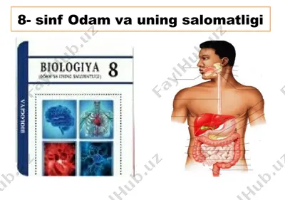 8-sinf odam va uning salomatligi — PPTX