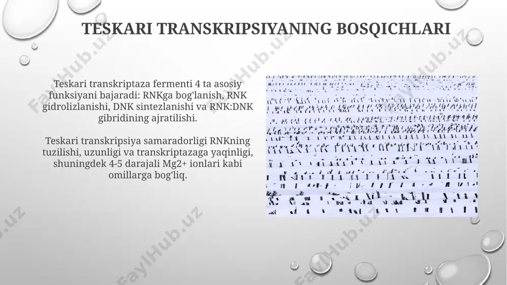 teskari transkripsiya - Page 5