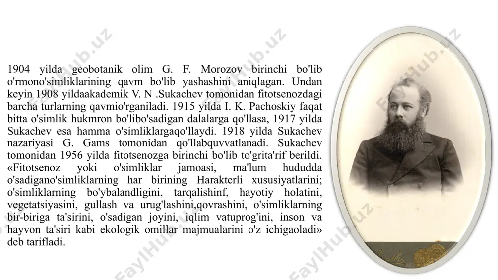 fitotsenoz strukturasi - Page 4
