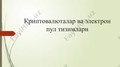 криптовалюталар ва электрон пулти зимлари — PPTX
