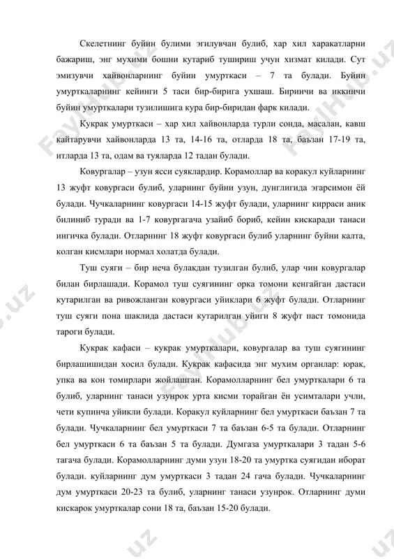 умурткаси 20-23 та булиб, уларнинг танаси узунрок. отларнинг думи кискарок умурткалар сони 18 та, баъзан 15-20 булади. калла суяги – умуртка погонасининг олд томонида булиб, унда энг мухим органлар бош мия, сезги органлари жойлашган. овкат хазм килиш, нафас олиш системасининг бошланиш кисми хам бош скелетида булади. бош скелети тана харакатининг мувозанатини саклашда ва атрофни аниклашда хам мухим роль уйнайди. бош скелети тузилишига кура мия ва юз булимига булинади. мия булими суяклари – энса, понасимон, галвирсимон, тепа, тепааро, чакка, кулок ва пешона суякларидан ташкил топган. кулок суяги мураккаб тузилган булиб, упка урта ва ички кулок жойлашади. сургичсимон кисм – энса билан туташган булади. юз булими суяклари – огиз ва бурун бушлигини хосил килади. уларга: бурун, юкориги жаг, жаг оралиги, танглай, куз ёши, ёнгок канотсимон, димог бурун чаноклари, пастки жаг, тил ости суяклари, чучкаларда казувчи суяк хам киради. тери коплами – яъни тери хайвонлар танасини ташки томондан ураб турадиган мураккаб тузилган пардадир. …