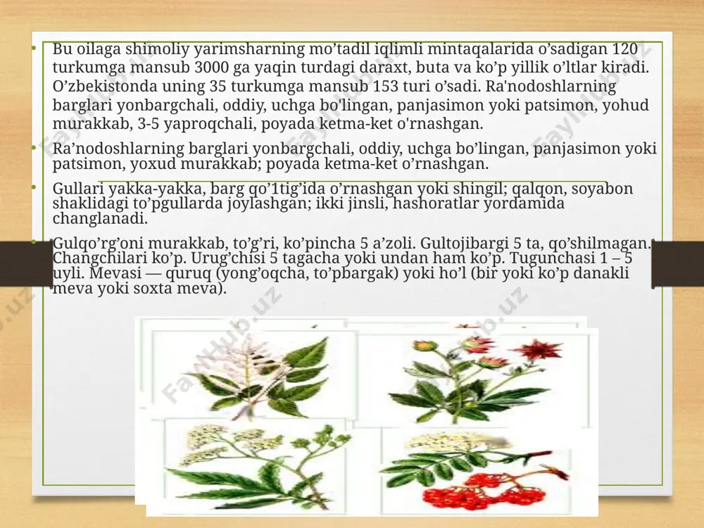 vjud. shuningdek unda foliy, limon, olma va salitsil kislotalari bor. qulupnayning foydali xususiyatlariga quyidagilarni kiritish mumkin: u ovqat hazm qilish tizimiga yaxshi ta'sir ko’rsatadi. qulupnay tarkibida yetarli darajada minerallar bo'lgani uchun u organizmni tozalaydi, shuningdek tarkibidagi antioksidantlar tufayli organizmning qarish jarayoni sekinlashtiradi. xalq tabobatida qulupnay kamqonlik, gipertoniya, ateroskleroz, bachadondagi qon ketishlarda qo'llaniladi. avitaminozlarda qulupnayga yetadigani yo'q. shaftoli — dorivor meva (avitsenna.uz) dunyoda shaftolining yuzdan ziyod navi o‘sadi. mevasidan qayta ishlangan holda qoqi, sharbat, shira, murabbo tayyorlanadi. mevasi tarkibida asosan, suv bo‘lsa-da, boshqa moddalar ham ko‘p. jumladan, qand, pektin, saxaroza, organik kislota (limon va olma)lar, a, e, c, b1, b2, b6 singari darmondorilar, kaliy, kalsiy, natriy, fosfor kabi ma’danlarni saqlaydi. shaftoli mevasi qayt qilishni to‘xtatuvchi, taom hazmini yaxshilovchi, tanani zararli moddalardan tozalovchi omil vazifasini bajaradi. o’rik- armeniaca aksariyat qismi daraxt o’simlik. uning 8 turi fanda ma’lum. o’rik xalqimizning xushxo’r mevasidan biri. mevasi etli, shirin, ayrim navlarining quritilgan mevasi etida 50-70%ga qadar …