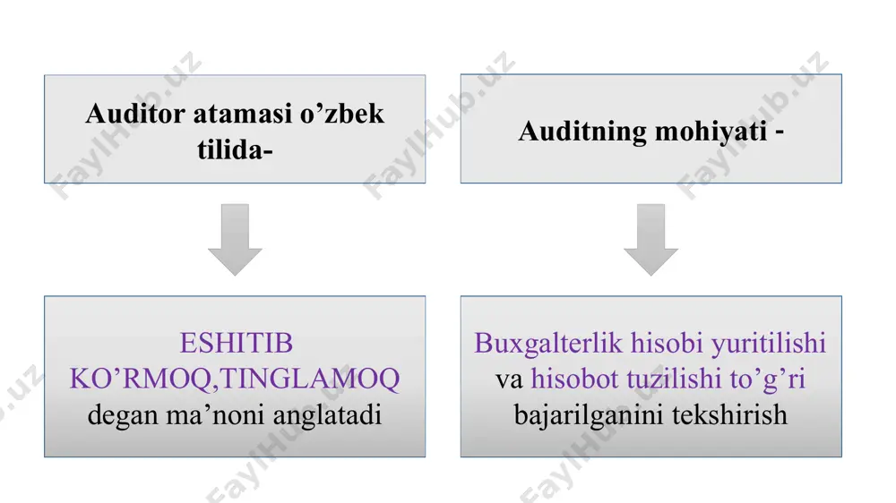 auditning mohiyati, uning maqsadi va vazifalari - Page 5