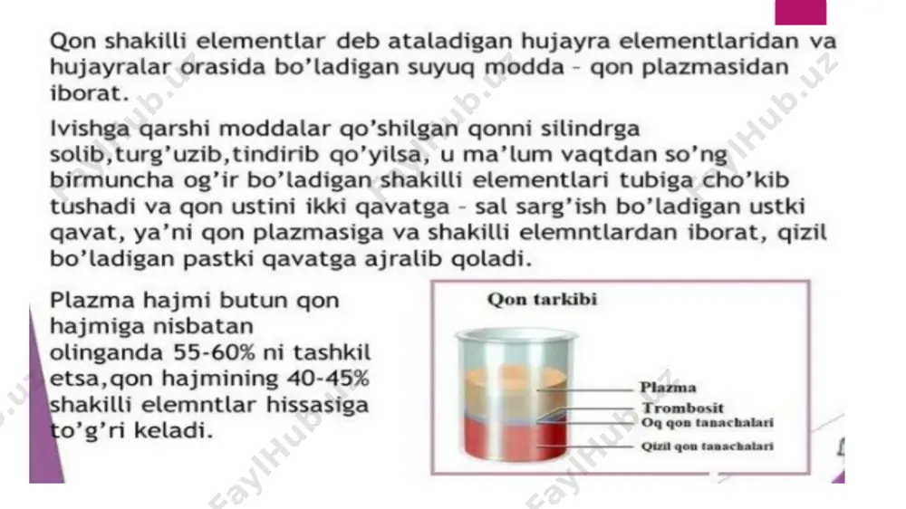 ogiyasi bo‘yicha limfotsitlar kichik, o‘rta va katta bo‘ladi. limfotsitlar funksiyasi: plazmatik hujayraga aylanadi va antitelo ishlab chiqaradi, yot, saraton hujayralari, virus, sodda hayvonlarga qarshi sitotoksik ta’sir, antigenlar to‘g‘risida ma’lumot saqlaydi. normada leykotsitar formulada limfotsitlar miqdori 19-37%, absolyut soni 1,2-3,0 x109 /l. e’tiboringiz uchun rahmat!!!! image2.jpeg image3.jpeg image4.jpeg image5.jpeg image6.jpeg image7.jpeg image8.jpeg image9.jpeg image10.jpeg image11.jpeg image12.jpeg image13.jpeg image14.jpeg image15.jpeg image1.jpeg image16.jpeg image17.jpeg /docprops/thumbnail.jpeg