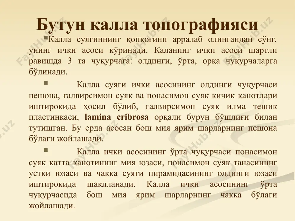 суягининг юз қисмида топографик нуқтаи назардан муҳим тузилмалар бўлиб, кўз косаси, бурун ва оғиз бўшлиғи ҳисобаланади. калла суягининг ташки асоси кўз косаси, orbita кўз косаси, orbita шакли тўрт қиррали пирамидага ўхшайди. унинг медиал девори юқори жағ суягининг пешона ўсиғи, processus frontalis maxillae, ғалвирсимон суякнинг кўз косага қараган пластинкаси, lamina orbitalis ossis ethmodalis, қисман понасимон суяк танаси, corpus ossis sphenoidalis иштирокида тузилади. юқори девори тузилишида пешона суягининг кўз коса қисми, pars orbitalis ossis frontalis понасимон суяк кичик қаноти иштирок этади. латерал девори, понасимон суяк катта қаноти, ala major ossis sphenoidalis ва ёноқ суягининг кўз коса юзаси facies orbitalis ossis zygomaticus иштирокида шаклланади. унинг пастки эса юқори жағ танасининг юқори кўз коса юзаси, facies orbitalis дан тузилади. кўз косаси, orbita, кўз косасининг юқори ёриғи ва кўрув нерви канали орқали калла бўшлиғи билан, бурун-кўз ёш канали, canalis nasolacrimalis орқали бурун бўшлиғи билан ўзининг пастки ёриғи, fissura orbitalis interior орқали қанот-танглай чуқурчаси билан туташади. …