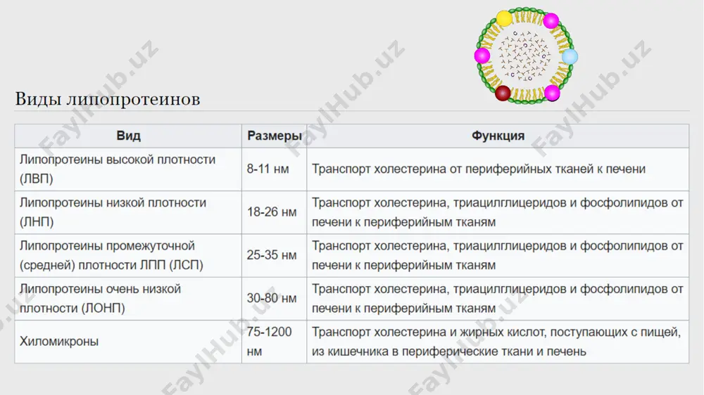 никотинат кислота қонда триглицерид, холестерин, б-липопротеид, пре-б-липопротеидларни микдорини камайтиради. ёғ тўқималарида липолизни, ҳужайралар ичида липаза ферменти фаоллигини пасайтиради, қонда эркин ёғ кислоталарнинг миқдори, уларнинг жигарга ўтиши камаяди, шу туфайли триглицеридлар ҳамда липопротеидлар ҳажми ҳам камаяди. никотинат кислота холестеринни миқдорини камайтиради, пре-б-липопротеидлар, б-липопротеидларни парчаланишини тезлаштиради, а-липопротеидлар миқдорини оширади. никотинат кислота атеросклерозни даволашда самарали таъсир кўрсатади, ичишга ва парентерал йўллар орқали юборилади. модданинг ножўя таъсирлари: терининг қизариши, кўнгил айнаши, қусиш, ич кетиши, жигар фаолияти издан чиқиши мумкин. атеросклерозни даволашда клофибрат (мисклерон) кенг қўлланади. бу модда жигарда холестеринни, пре-б-липопротеидларни. б-липопротеидларни ҳосил бўлишини, ёғ тўқималаридан эркин ёғ кислоталар ажралишини камайтиради. эркин ёғ кислоталарнинг камайиши циклик амф, ҳужайралардаги липаза фермент фаолиятини пасайишига боғлиқ. шу билан бирга клофибрат қоннинг қуюлиш системасига ҳам ижобий таъсир кўрсатади, тромбоцитлар агрегациясини, фибрин ҳосил бўлишини камайтиради қоннинг фибринолитик фаолиятини орттиради. клофибрат гиперлипидемия, айниқса гипертриглицеридемияни, атеросклерозни даволашда қўлланади, ичишга буюрилади. модданинг ножўя таъсирлари: кўнгил айнаши, ич кетиши, уйқучанлик юз беради, терига тошма …