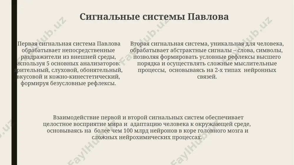 типы высшей нервной деятельности. сигнальные системы - Page 5