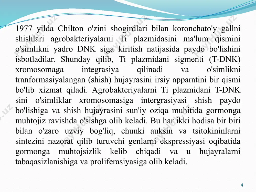 aqlajon (ekin ekilgan maydonlar soni boʻyicha) kiradi. o'simliklarga kiritilgan asosiy xususiyatlar gerbitsidlarga chidamliligi va hasharotlarga chidamliligini o'z ichiga oladi. 2002 yilda birlashgan millatlar tashkilotining oziq-ovqat va qishloq xo'jaligi tashkiloti genetik jihatdan o'zgartirilgan ekinlarni ishlab chiqish va ulardan foydalanishni ma'qulladi. afrika qit’asi oziq-ovqat ishlab chiqarishni yaxshilash uchun zudlik bilan qishloq xo‘jaligi biotexnologiyasiga, jumladan transgen ekinlarga muhtoj. 2008 yil o'rtalariga kelib, janubiy afrika afrikadagi genetik jihatdan o'zgartirilgan ekinlardan tijorat maqsadlarida foydalanishni ma'qullagan yagona davlat edi. 8 a. tumefaciens ning ti plazmidi bilan o'simliklarning o'zgarishi 9 t-dnk aslida a. tumefaciens shtammlarining ko'pchiligi tomonidan olib boriladigan "o'simtani qo'zg'atuvchi" (ti) plazmidning bir qismidir. ti plazmidiga qarab, t-dnk mintaqasining uzunligi taxminan 10 dan 30 kilobaza jufti (kb) gacha o'zgarishi mumkin. ti plazmidiga ega bo'lmagan a. tumefaciens shtammlari o't o'simtalarini keltirib chiqara olmaydi. bakteriyalar sezuvchan yaralangan o'simliklar tomonidan chiqariladigan asetosiringon va gidroksiasetosiringon kabi ba'zi o'simlik fenol birikmalariga javob berishi e'tirof etilgan. yaraga javob beradigan bu birikmalar ligninlar …