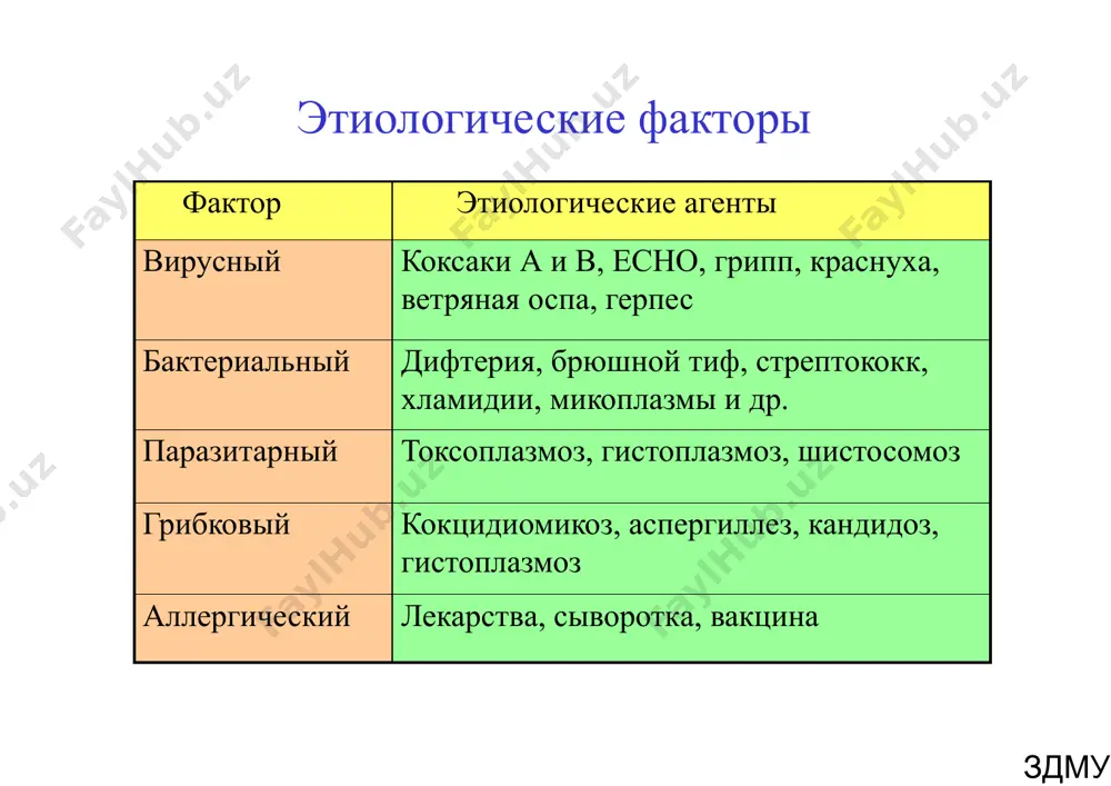 с тимомегалией) уменьшается звучность голоса. у 20 % приступы цианоза, возбуждения, потеря сознания, судороги, рвота. через 2-3 недели – повторные подъемы температуры. быстро присоединяется увеличение печени. абдоминальные боли столь интенсивные, что дети попадают к хирургу. нарушения ритма – тахи-, брадиаритмии. снижение диуреза, пастозность. здму здму аускультативные признаки миокардита ослабление 1 тона тахикардия сш на верхушке здму данные дополнительных методов исследования. рентгенография: расширение границ сердца, увеличение кардиоторакального соотношения. эхокг: дилятация лж, снижение сократительной способности миокарда. экг: снижение вольтажа зубцов в первые 2-3 недели, затем становятся высокими, особенно qrs, затем вновь снижаются. синусовая тахикардия. изменение сегмента st и зубца т. лабораторная диагностика: увеличена соэ, повышены α, γ-глобулины, срб (+), нейтрофильный лейкоцитоз. активность кфк и лдг повышена (у детей может быть не повышена). биопсия правого желудочка – стандарт диагностики (!) здму эндокардит у детей поражаются клапанные структуры, эндокард, эндотелий магистральных сосудов, прилегающих к сердцу. сопровождается бактериемией с поражением различных органов и систем. диагноз …