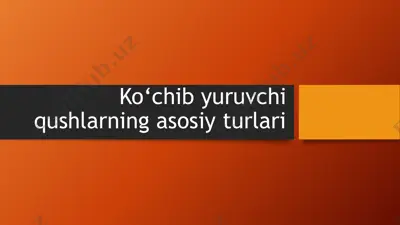 ko‘chib yuruvchi qushlarning asosiy turlari — PPTX